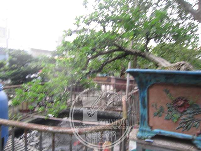 IMG_8862.JPG