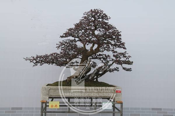 1ec1eba0-309c-4749-9a37-5720b4c71a64.png