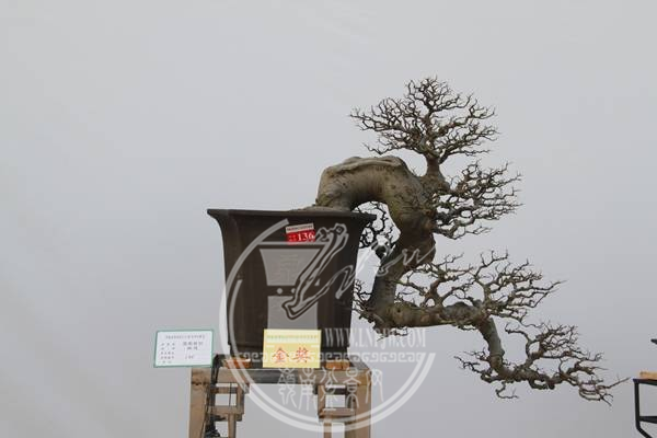 dc89352c-5f8d-4f55-a2f4-b0fdf7df7ca7.png