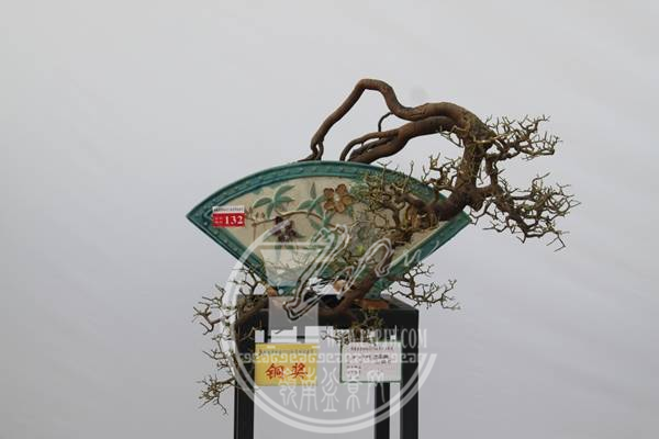 fafe7e88-3898-41f4-81da-0addee293d2e.png