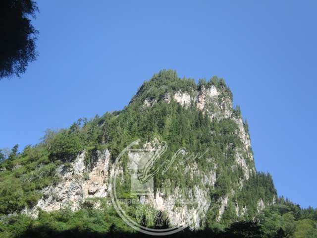 IMG_9296.JPG