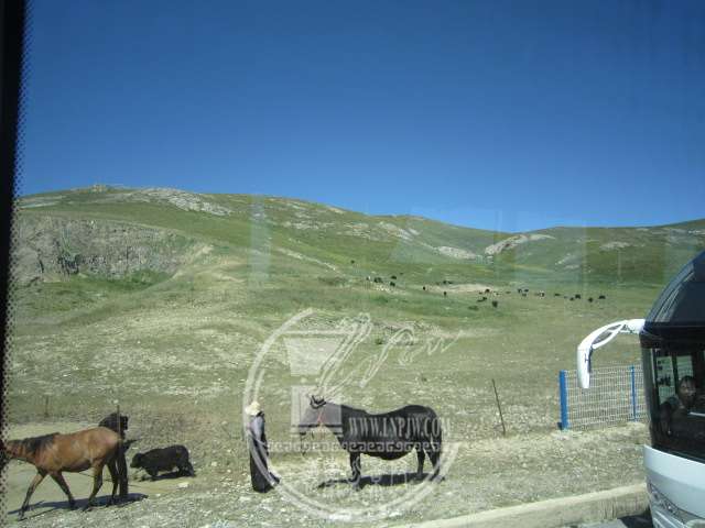 IMG_9432.JPG