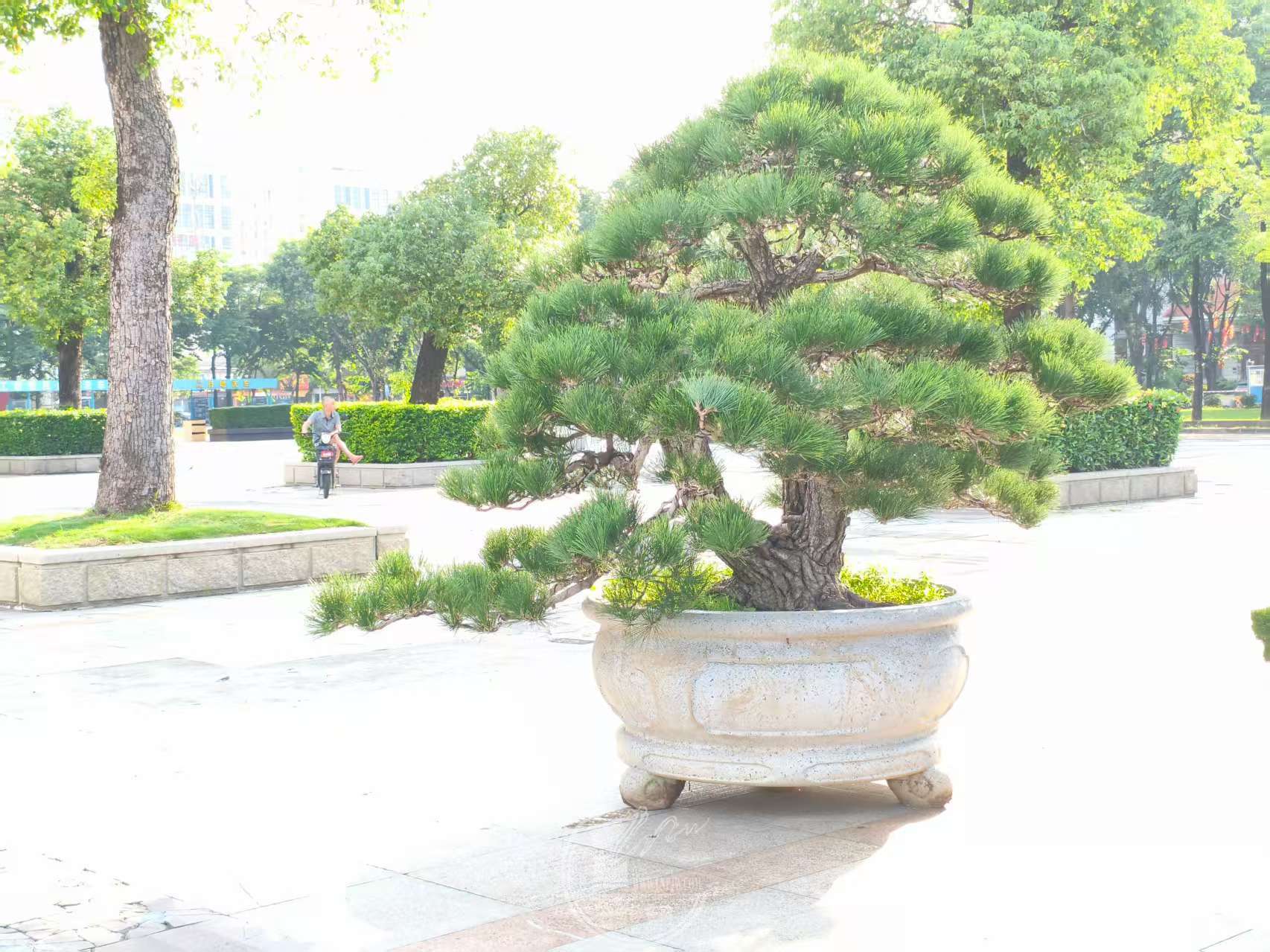 첩չʡƻǰפ.jpg