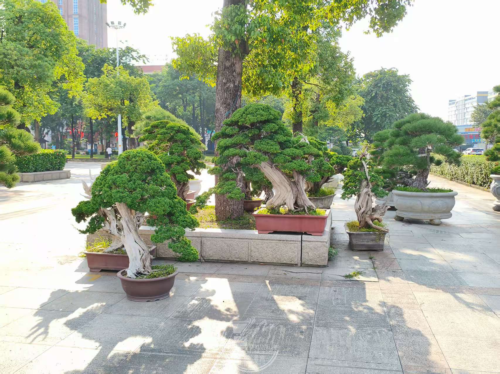 첩չʡƻǰפ΢ͼƬ_20250922162817_134_1235.jpg