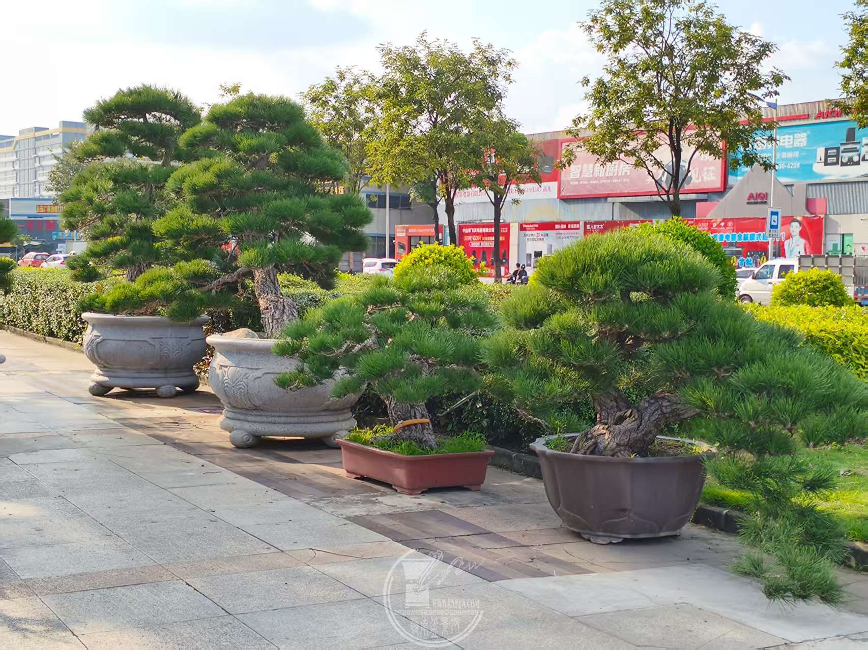 첩չʡƻǰפ΢ͼƬ_20250922162818_135_1235.jpg