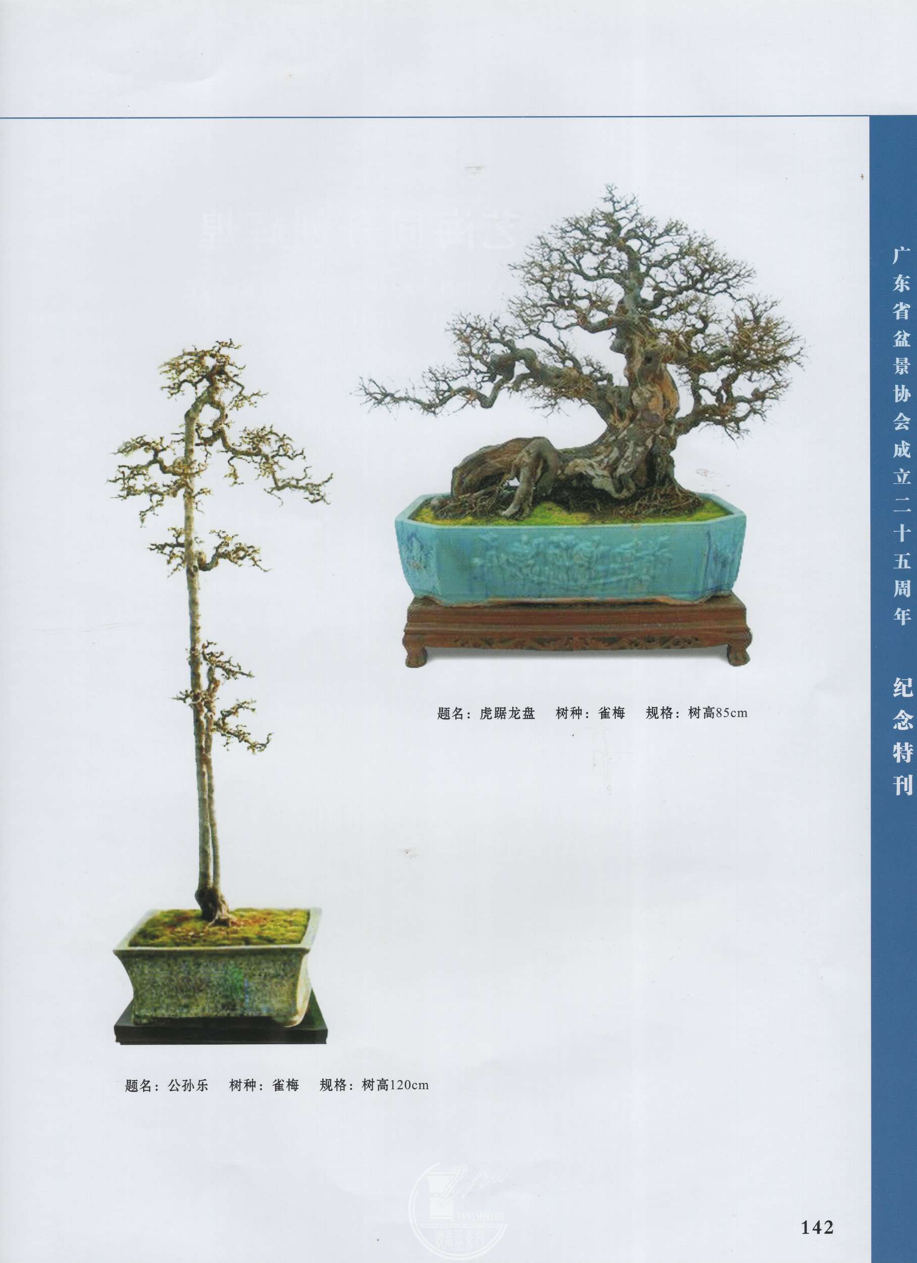 img077.jpg