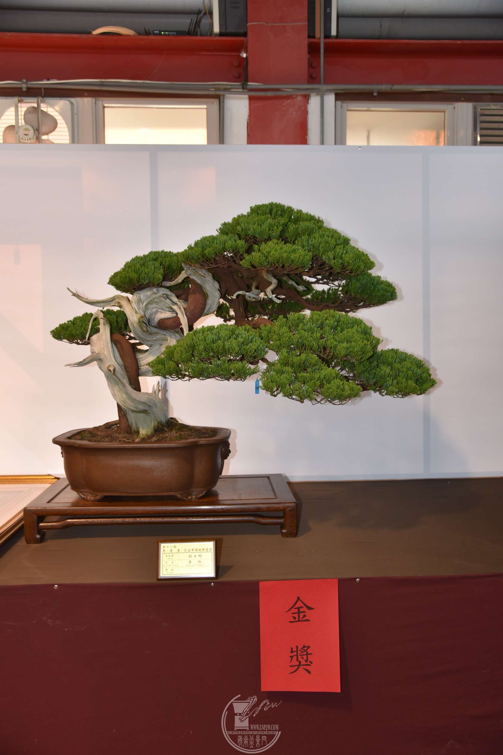 h̨ؔ壩   78X103 DSC_1792.jpg