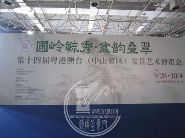 IMG_9825.JPG