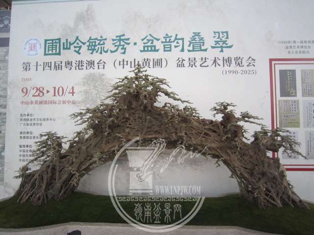 IMG_9886.JPG