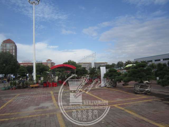 IMG_0002.JPG