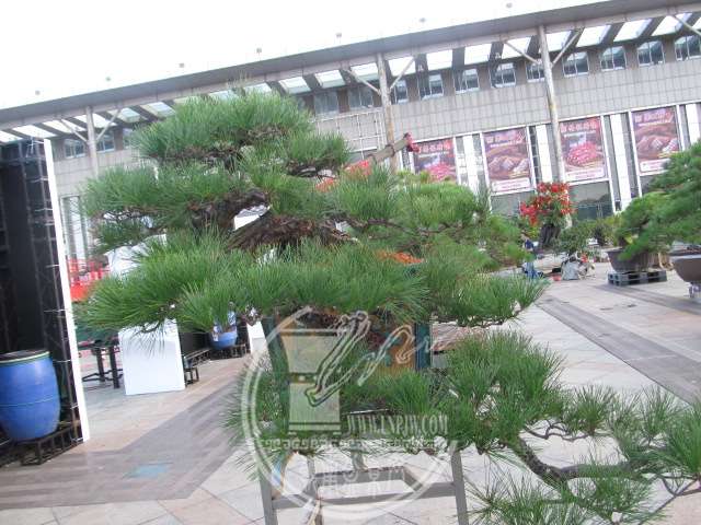 IMG_3940.JPG