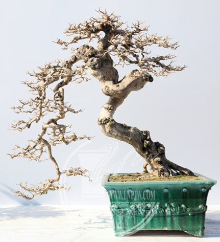 40ae5578-a763-43aa-8a14-56cb4b0dbcca.png