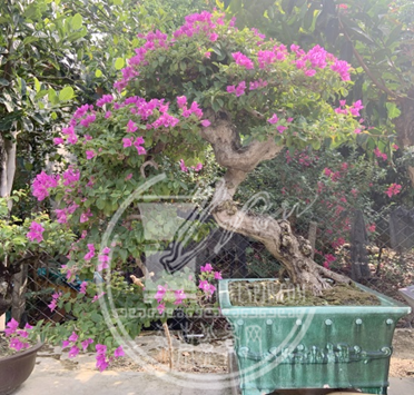 4cce3f32-6a4a-4536-8bcc-8fa3dfc3caed.png