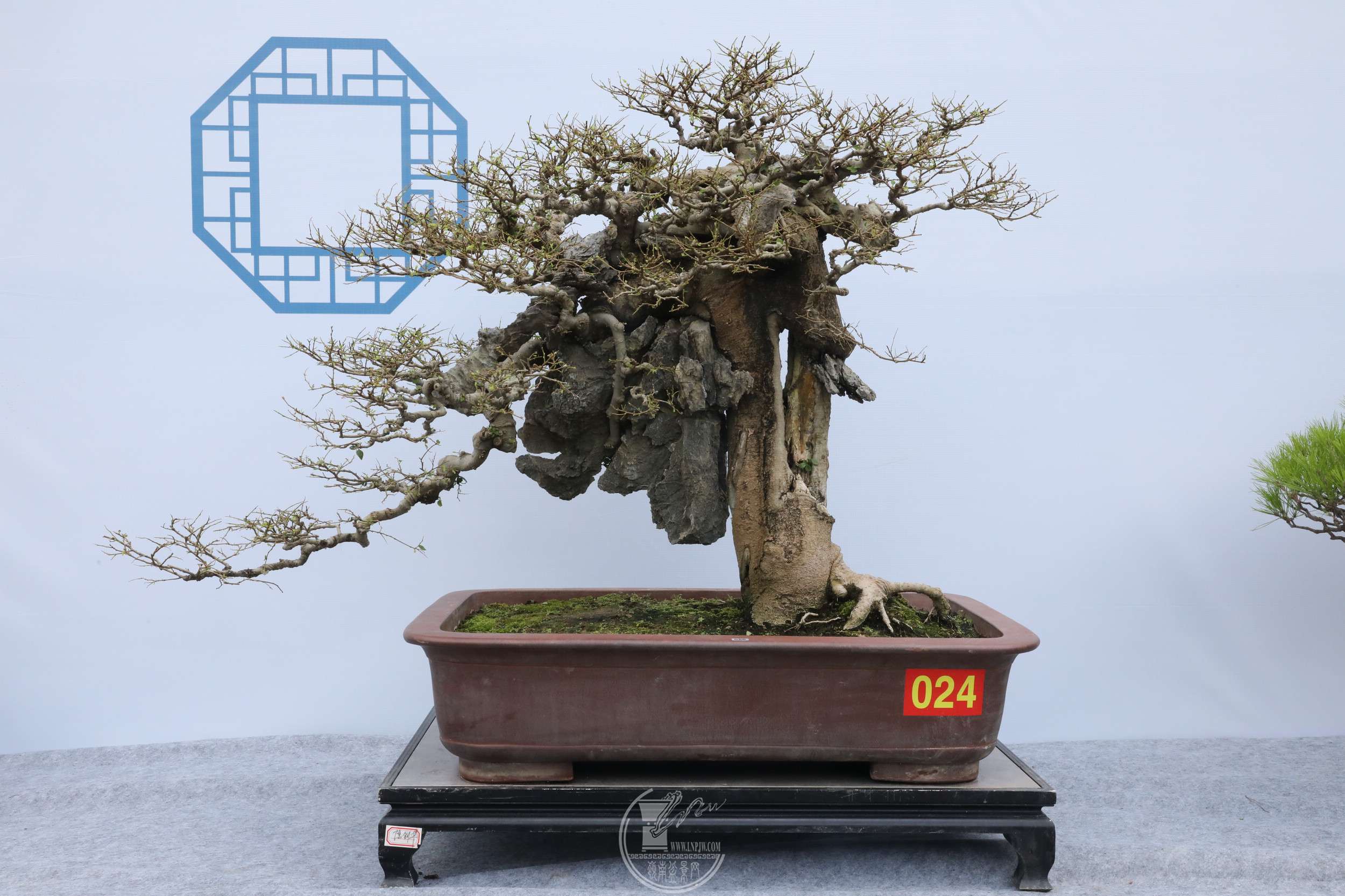 12㶫ʡЭ᳤ȻչƷϷ  BG1A6198.jpg