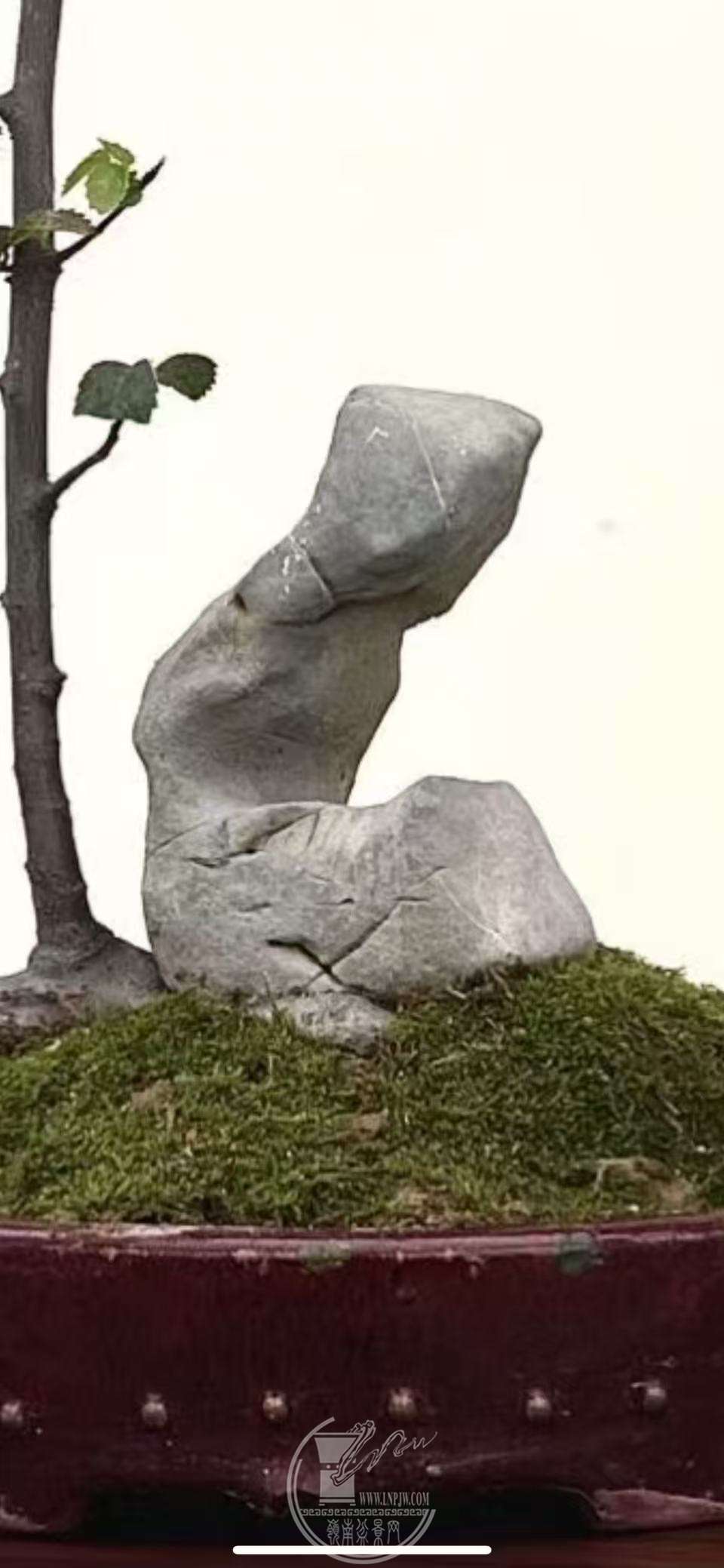 0d24eb0c0d93bedd7ef0af8668e58393.jpg