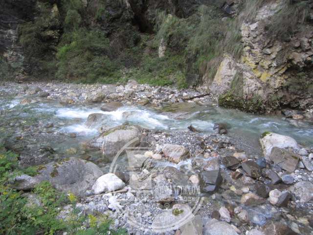 IMG_9286.JPG