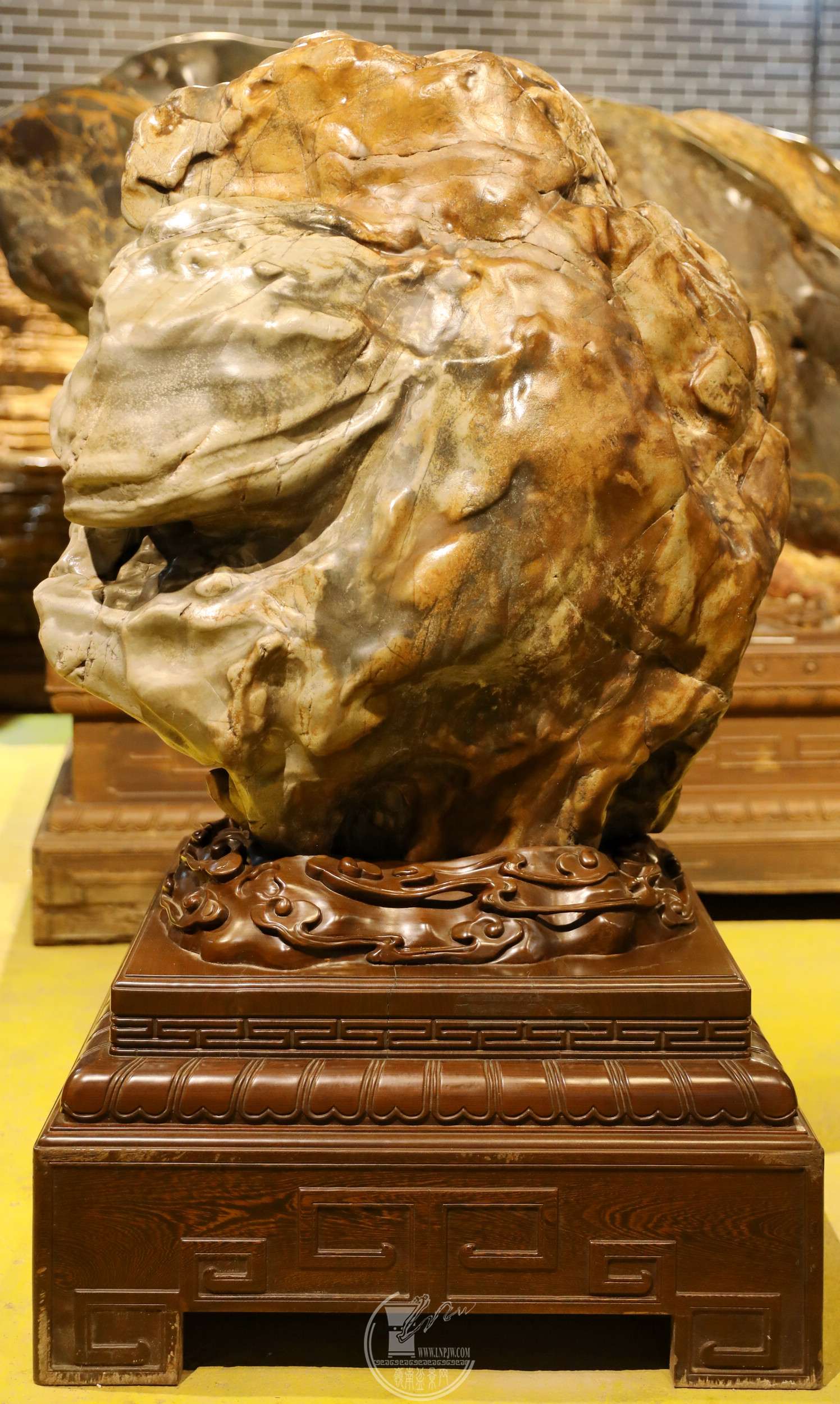 31   ʯ ֣ ʯBG1A6148.jpg